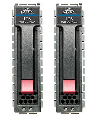 Kit RAID 1 HP 1TB 3,5 SATA